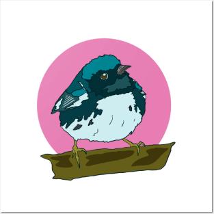 Black Throated a Blue Warbler Posters and Art